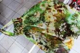 Vestido PACIFIC BLUE floral G